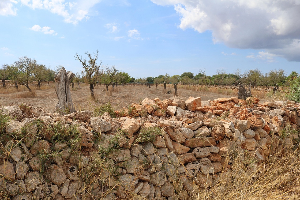 Mallorca, landscape, stone wall in Riverside, CA